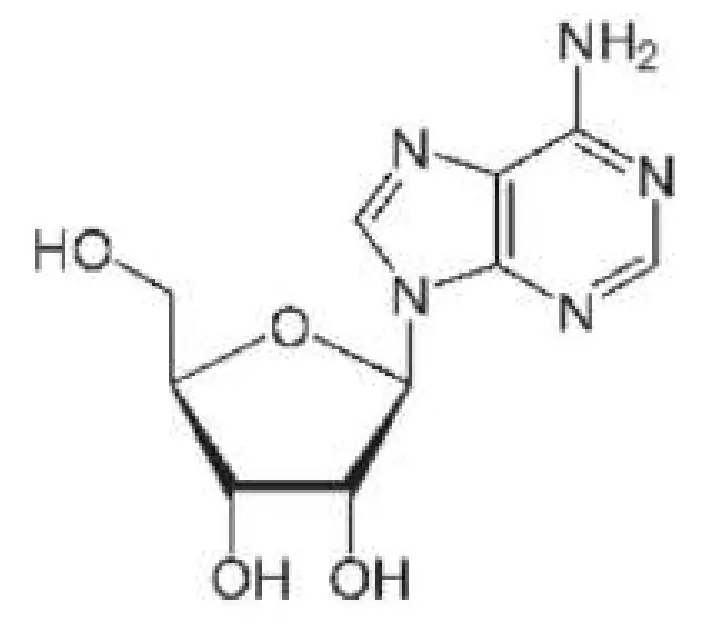 REGENSIFY DHT Blocking Shampoo fig 7