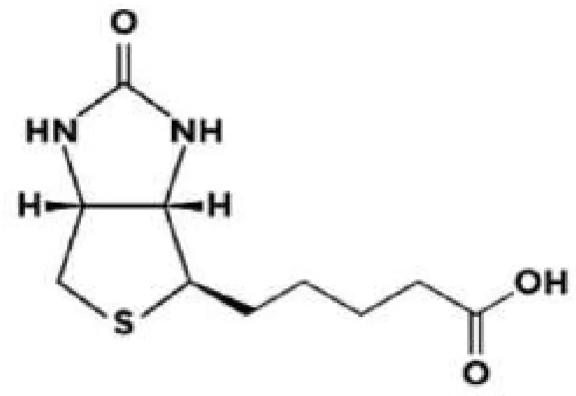 REGENSIFY DHT Blocking Shampoo fig 8