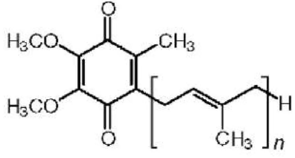 REGENSIFY DHT Blocking Shampoo fig 9