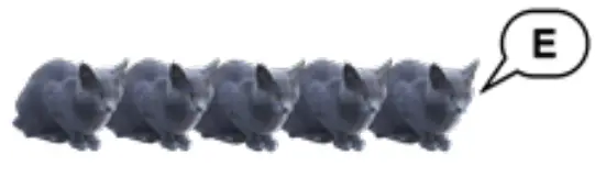 vaddio EasyUSB Mixer Amp Audio Mixer and Amplifier - FIG 4