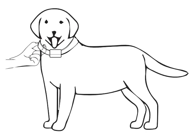 PATPET B300 Smart Bark Control Device - fig 2