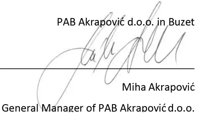 pab MP1 Professional Thermoplastic Helmet - Signed 1