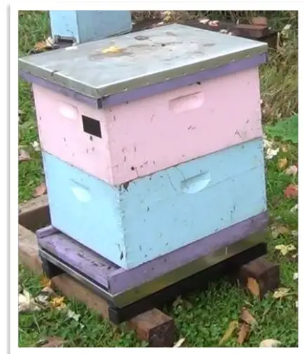 BEE INFORMED Setting up SolutionBee - Figure 6