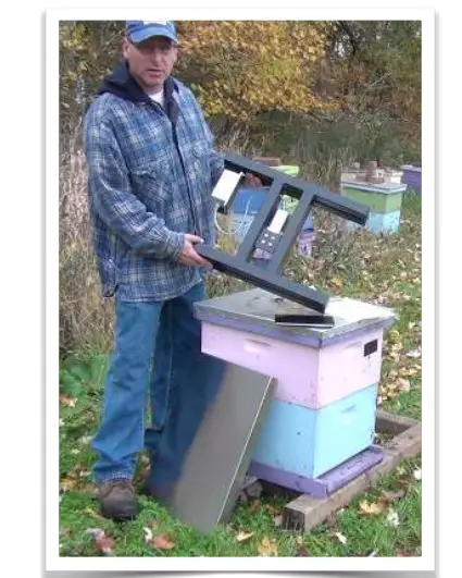 BEE INFORMED Setting up SolutionBee