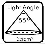 QAZQA 104533 Sarella CL 1 Black Oval Ceiling Lamp 16