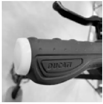 DUCATI PRO I EVO Electric Scooter - Figure 22