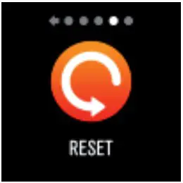 Reset Interface