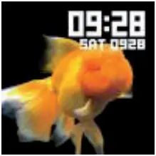 Watch faces Interface