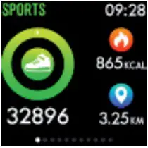 Activity Record Interface