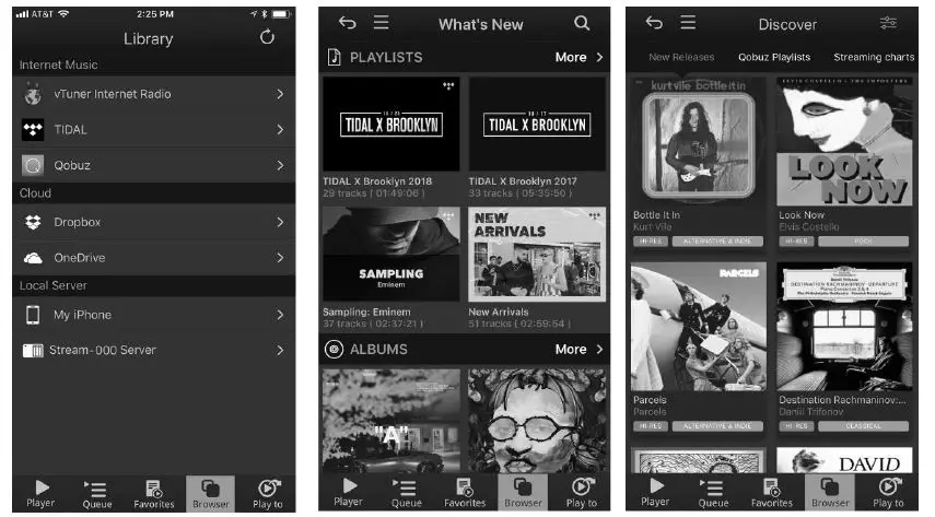 bel canto e1x Integrated Amplifier 11