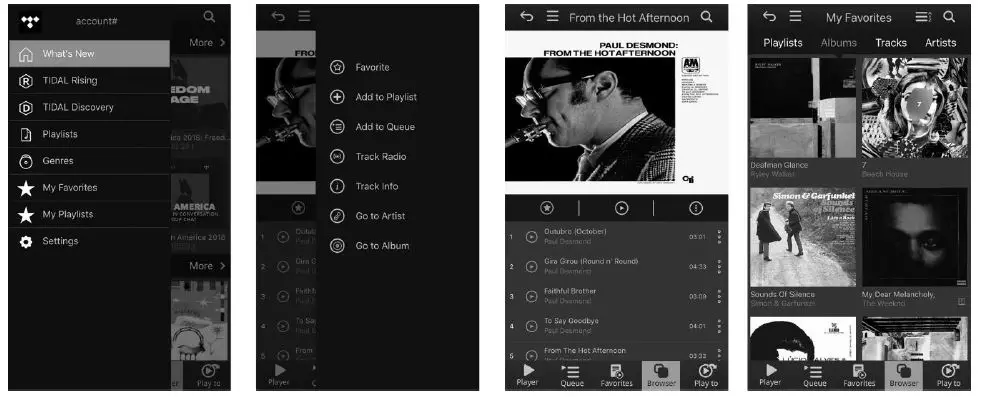 bel canto e1x Integrated Amplifier 12