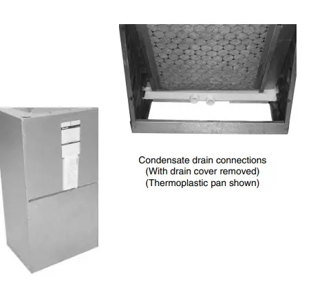 FIRSTCO-T200-Autospeed-24V-Thermostat-2