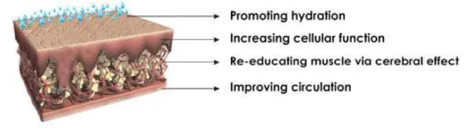 JOHARI Myolift QT Microcurrent Facial Machine 1