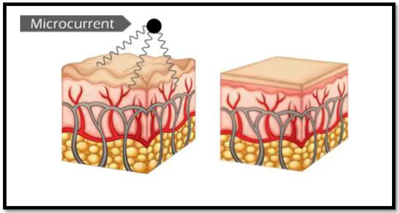 JOHARI Myolift QT Microcurrent Facial Machine 14