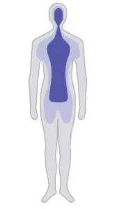 FIG 3 Body temperature