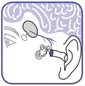 FIG 5 Why measure in the ear