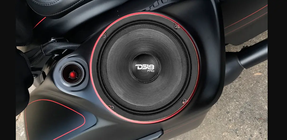 Ds18 Pro-neo10r 10 Inch Mid-range Loudspeaker With Neodymium Rings Owner's Manual