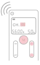 NEEWER CB150 Continuous LED Studio Light-12