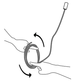 BCCI 281 Deep Canopy - Fig1