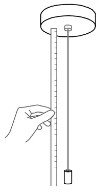 BCCI 281 Deep Canopy - Fig2