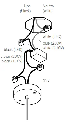 BCCI 281 Deep Canopy - Fig4