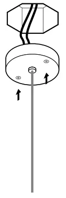 BCCI 281 Deep Canopy - Fig5