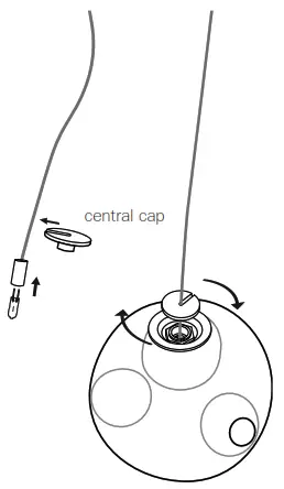BCCI 281 Deep Canopy - Fig6