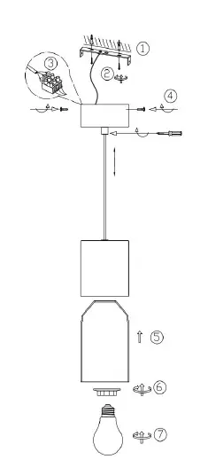 TRIO-310600154-Robin-Pendant-Lamp-01