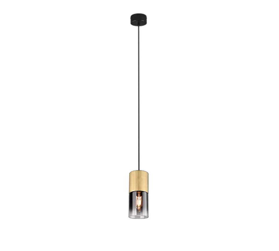 TRIO-310600154-Robin-Pendant-Lamp-01
