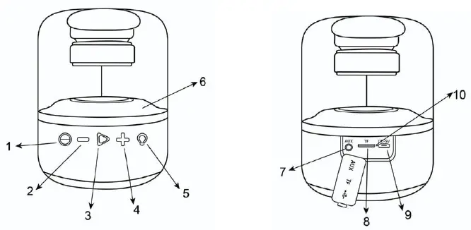 Intraco-SP101-Moyoo-Smokey-Dome-fig-3