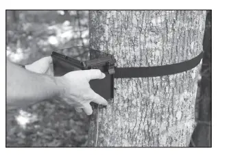 Moultrie-A900-Bundle-Trail-Camera-Fig-4