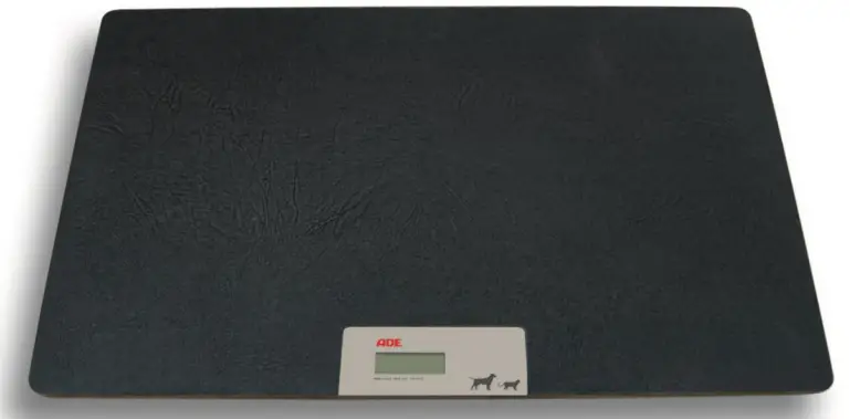 PRAXISDIENST-ADE-MV302600-Special-Electronic-Veterinary-Scales-PRODUCT