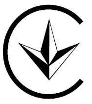 Salem Master Pro 2-Cycle Chain Saw 6220G /6220H/5820G/5820H User Manual