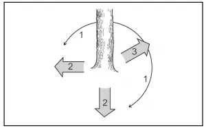 Salem Master Pro 2-Cycle Chain Saw 6220G /6220H/5820G/5820H User Manual