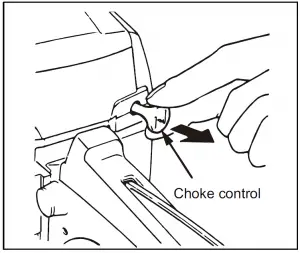 Salem Master Pro 2-Cycle Chain Saw 6220G /6220H/5820G/5820H User Manual