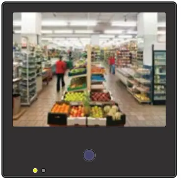 Clinton Electronics M3065 10 Inch IP Public View Monitor - fig 4