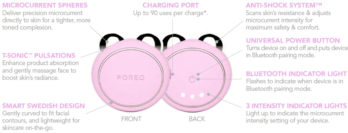 GETTING TO KNOW BEAR