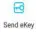 Send ekey Icon