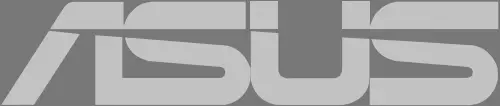 ASUS logo m1
