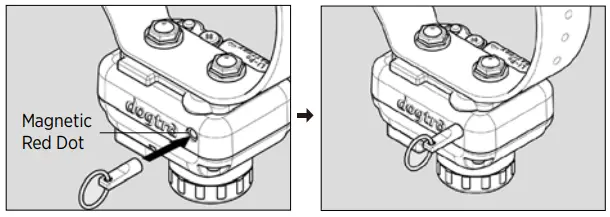 dogtra Stb Beeper Collar Owner's TRAINING