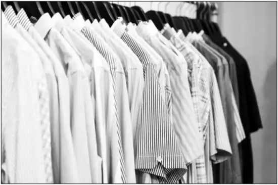 BLACK DECKER HGS500 Press and Steam 2 in 1 Iron and Steamer - FIG 4