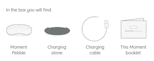moment company moment pebble stone fig 4
