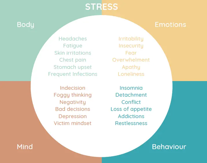 moment company moment pebble stone fig 6