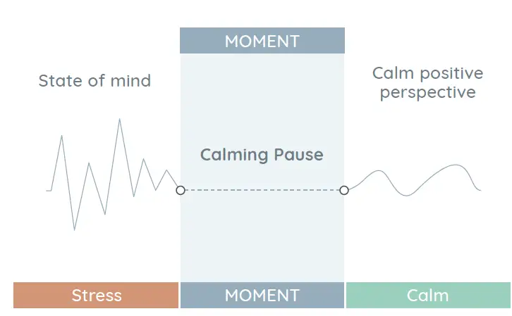 moment company moment pebble stone fig 8
