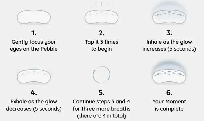 moment company moment pebble stone fig 9