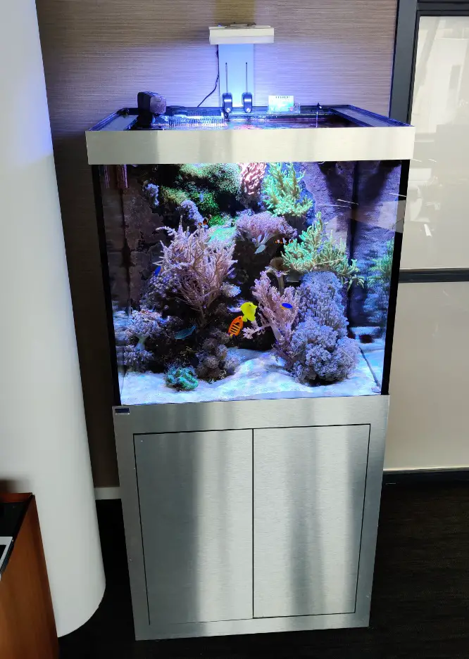 BlueMarine-Reef-120-Cabinet-product