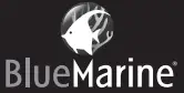 BlueMarine-logo