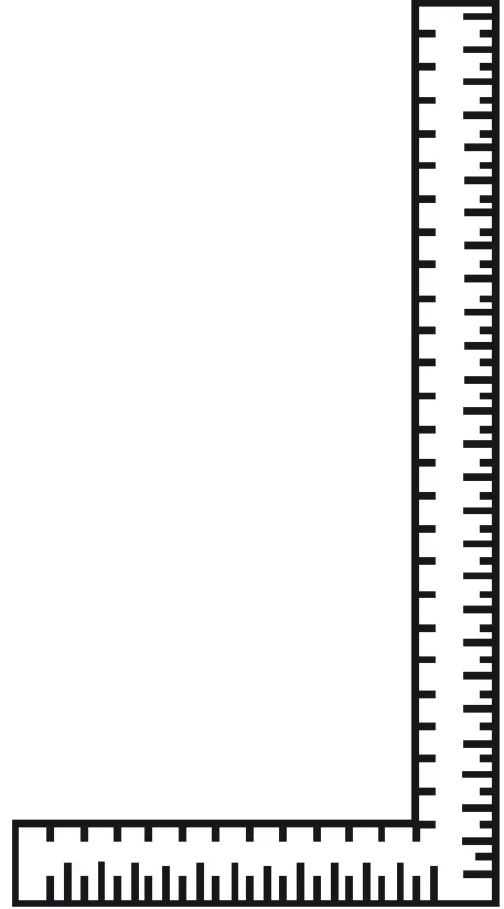 KUCHT Professional K6502D Built In Dishwasher 24