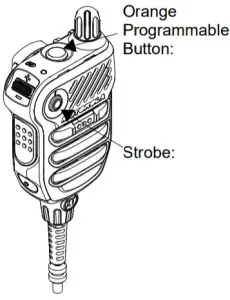 Strobe Disable