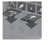 MATCH WM00101 MultiLang Rules HarryPotter 4